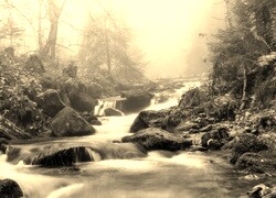 Sepia