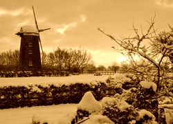 Sepia