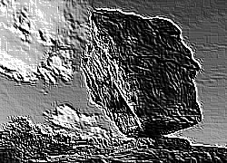 Skamielina