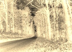 Sepia + Negatyw