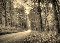 Szary + Sepia