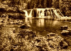 Sepia