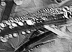 Skamielina