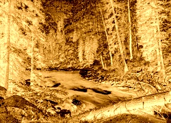 Sepia + Negatyw