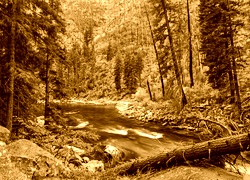 Sepia
