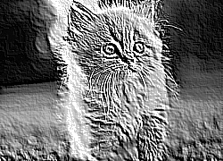Skamielina