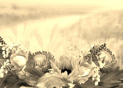 Szary + Sepia