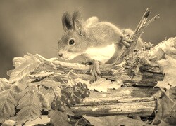 Sepia