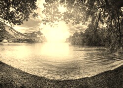 Szary + Sepia