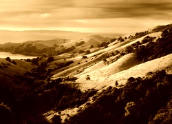 Sepia
