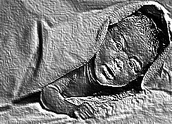 Skamielina