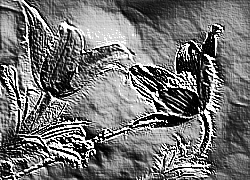 Skamielina