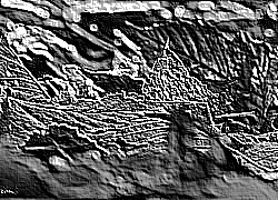 Skamielina