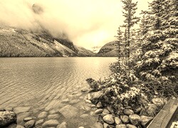 Szary + Sepia