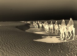 Sepia + Negatyw