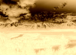 Sepia + Negatyw