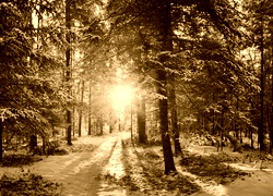 Sepia