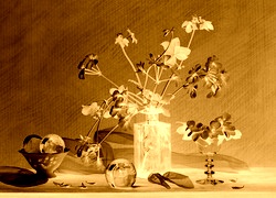 Sepia + Negatyw