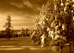 Sepia