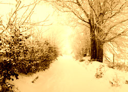 Sepia