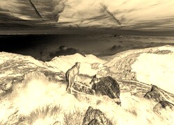 Sepia + Negatyw