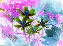 Negatyw