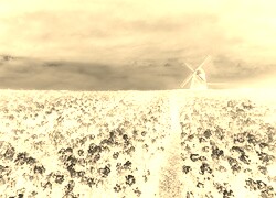 Sepia + Negatyw