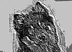 Skamielina