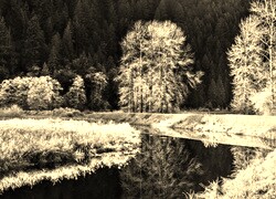 Szary + Sepia