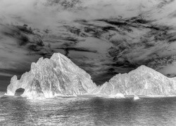 Szary + Negatyw