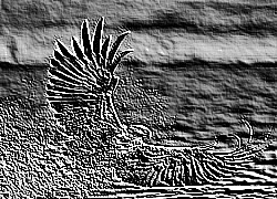 Skamielina