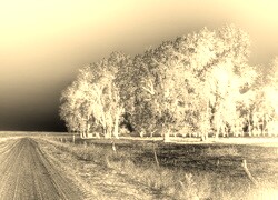 Sepia + Negatyw