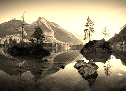 Szary + Sepia