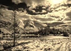 Sepia
