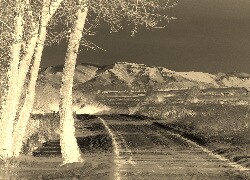 Sepia + Negatyw