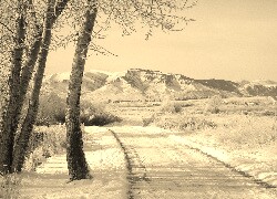 Szary + Sepia