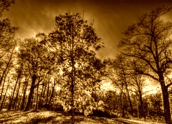 Sepia