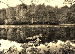 Szary + Sepia