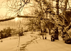Sepia
