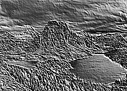 Skamielina