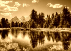 Sepia
