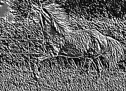 Skamielina