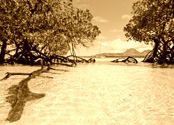 Sepia