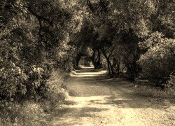 Sepia