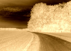 Sepia + Negatyw