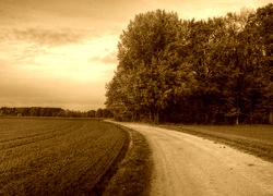 Sepia