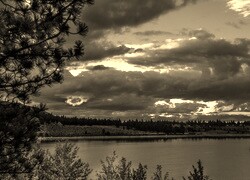 Sepia