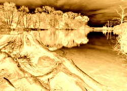 Sepia + Negatyw