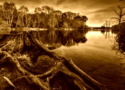 Sepia