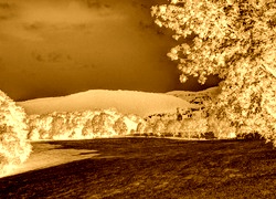 Sepia + Negatyw
